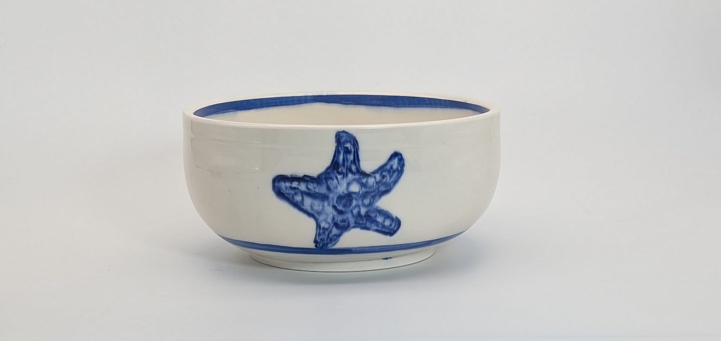Costal Collection: Dinner Bowls